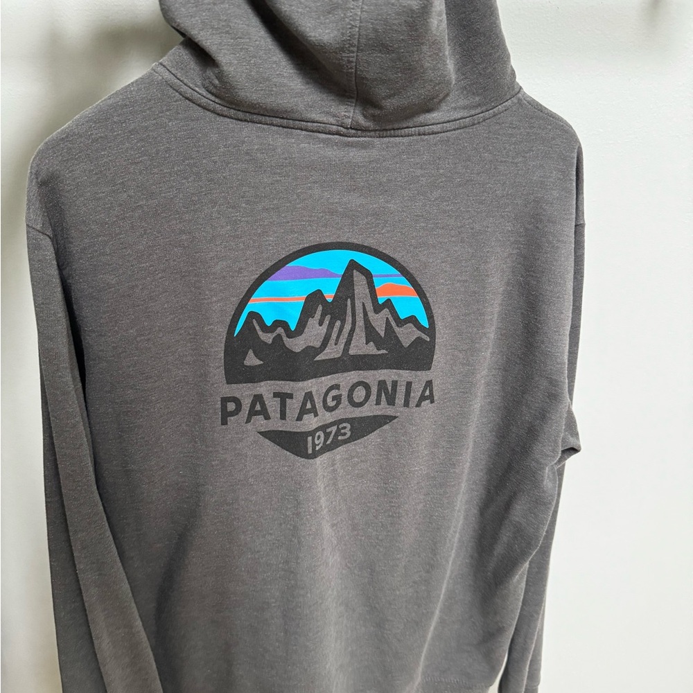 Patagonia Gray Hoodie with Blue & Teal Mountain Graphic